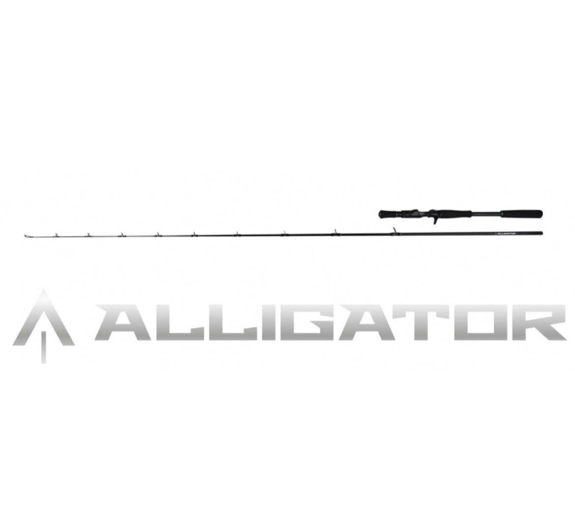Favorite Alligator