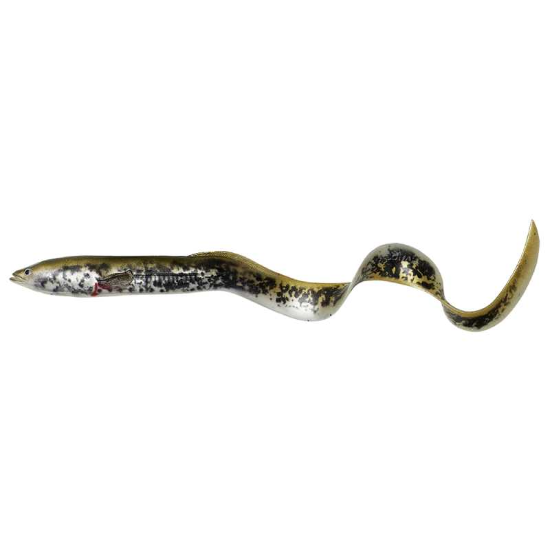 SAVAGE GEAR - 4D LINE THRU PULSE TAIL TROUT 20cm 102g SLOW SINK PERCH SAVAGE GEAR - 4D LINE THRU PULSE TAIL TROUT 20cm 102g SLOW SINK PERCH