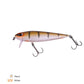 Zeck Dundee 13.5CM-40G-1Mt-SP-Silent