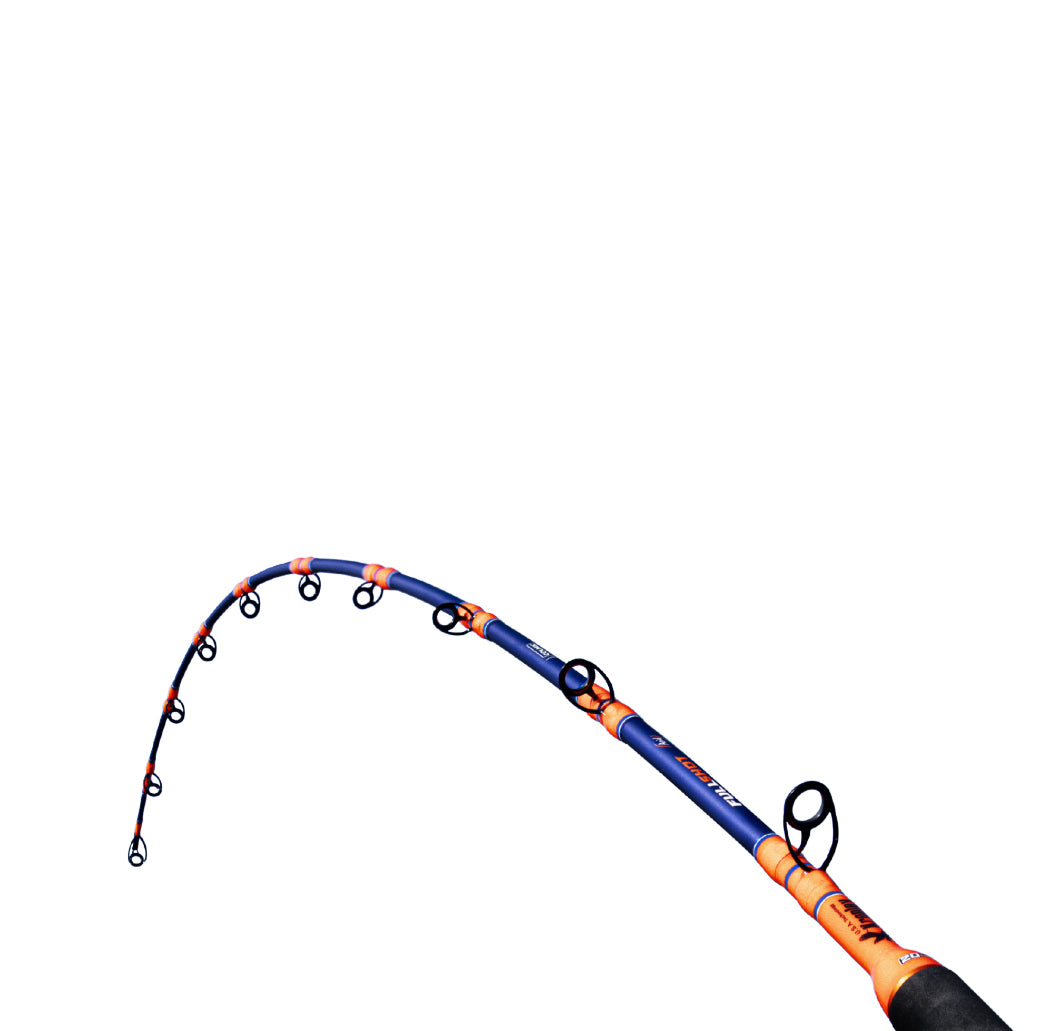 Colmic Full Shot Acid 6’6” 20Lb