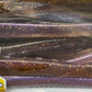 Berkley PowerBait Fatty Bottom Hopper 13CM