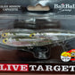 Live Target WTD Glass Minnow