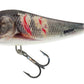 Salmo Rattlin’Slider 8